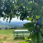 Ferienhaeusle 1a * Schopfheim