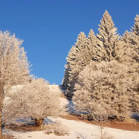 Дом отдыха Ferienhaeusle 1a Шопфхайм