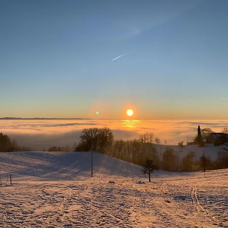 Ferienhaeusle 1a Шопфхайм