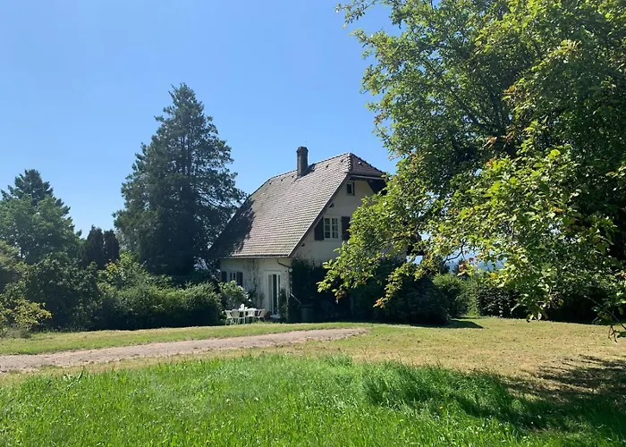 別荘 Ferienhaeusle 1a ショップハイム