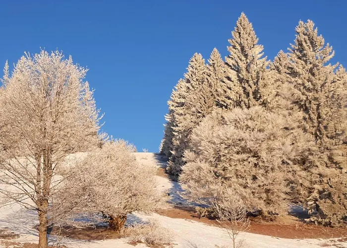別荘 Ferienhaeusle 1a ショップハイム