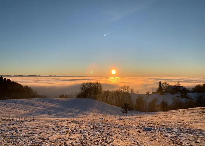 Ferienhaeusle 1a ショップハイム